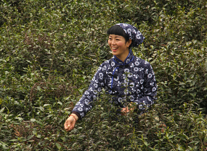 嘴唇直播下载 血色探戈